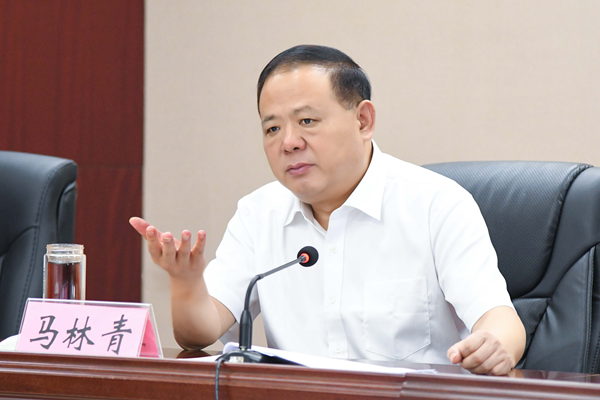 省政府食安辦主任、省市場監管局書記馬林青講話
